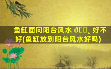 鱼缸面向阳台风水 🕸 好不好(鱼缸放到阳台风水好吗)